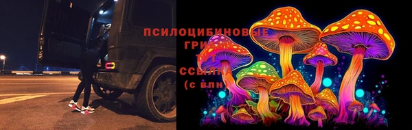 MDMA Пролетарск