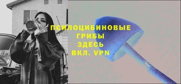 мдпв Покачи