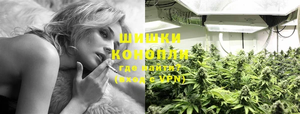мдпв Покачи